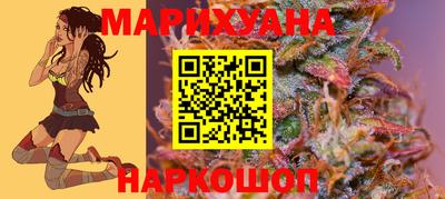 Альфа ПВП Сланцы