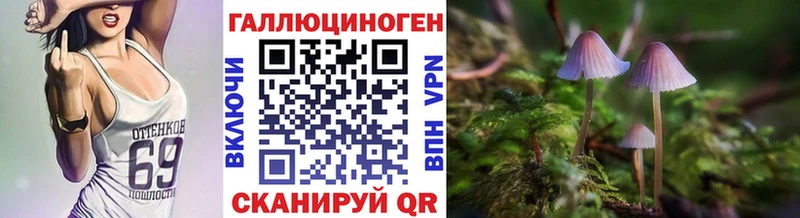 закладка  это наркотические препараты  Галлюциногенные грибы MAGIC MUSHROOMS  Серов 