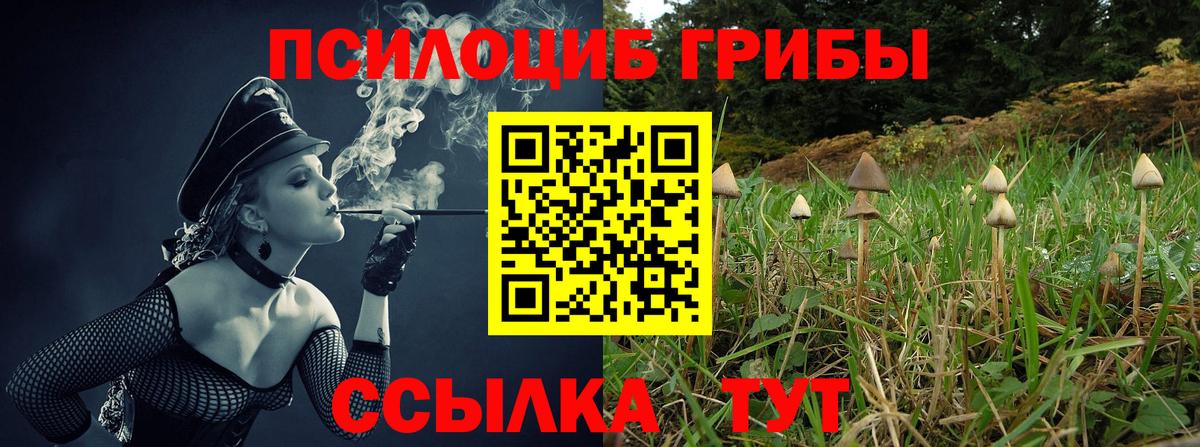 Галлюциногенные грибы GOLDEN TEACHER Серов
